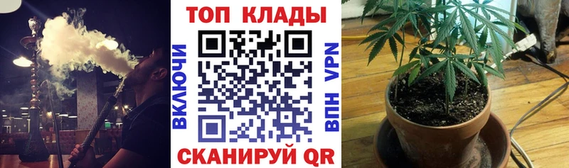 Где купить наркоту Кириллов Канабис Cocaine Галлюциногенные грибы ГАШИШ А ПВП АМФЕТАМИН