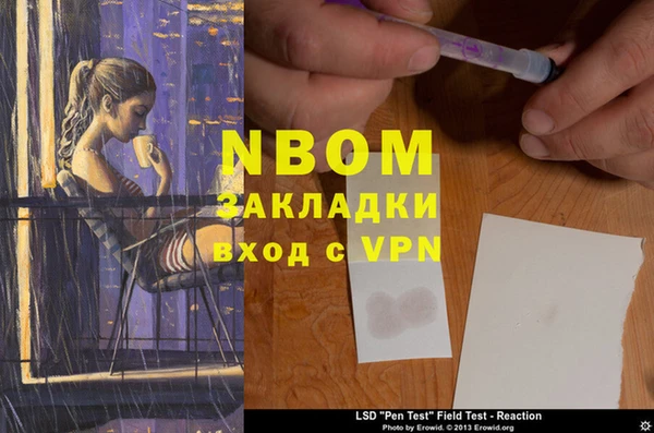 мдпв Абаза