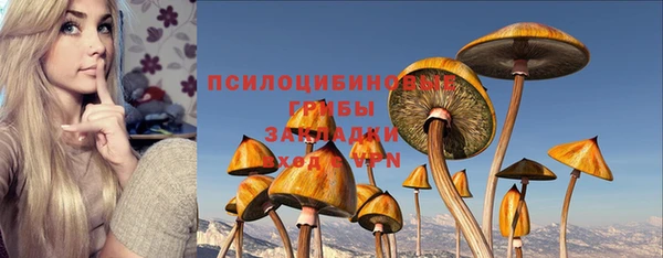 Альфа ПВП Абдулино