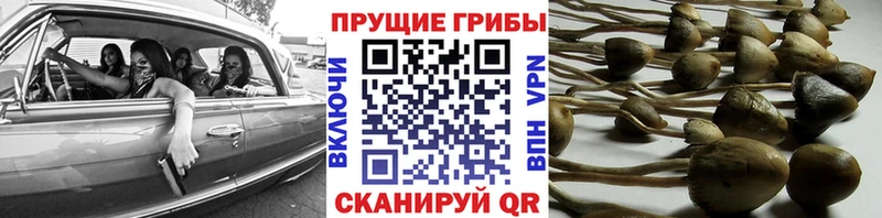 Псилоцибиновые грибы мухоморы  наркотики  Кириллов 